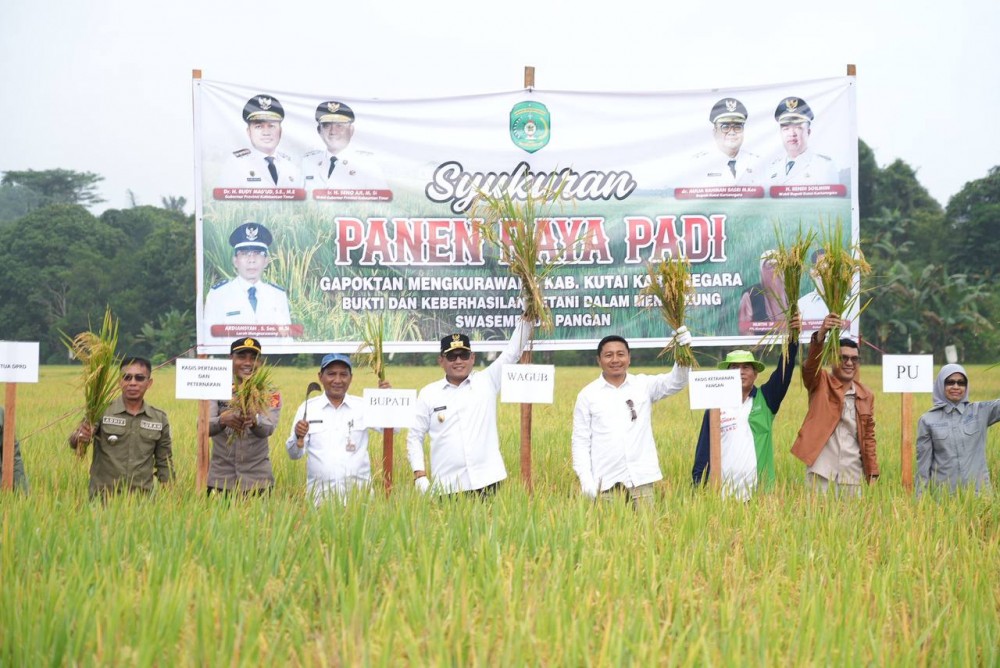 Wagub Seno Panen Raya Padi di Mangkurawang