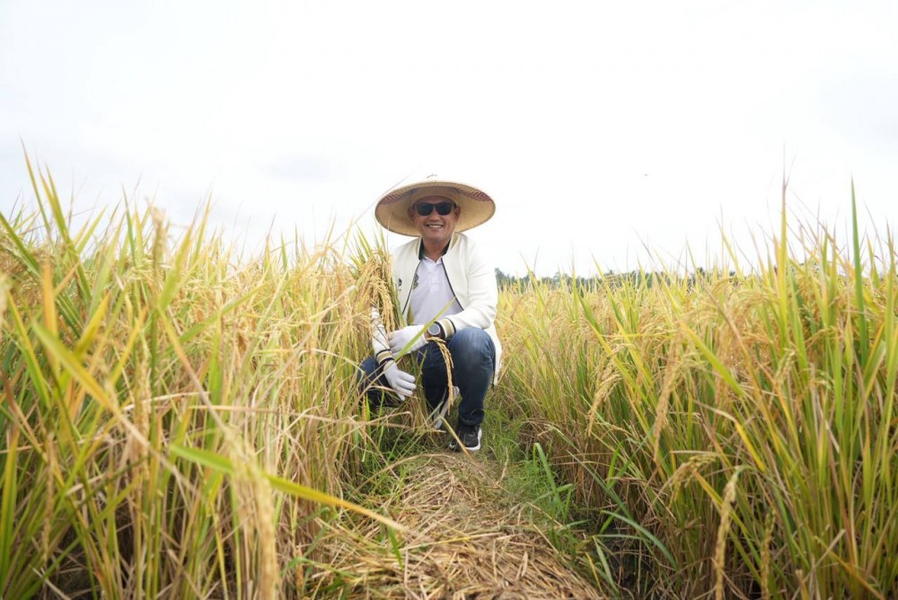 Panen Raya Padi PT Kitadin, Wagub Seno : Perusahaan Tambang Siapkan 200 Hektare untuk Sawah